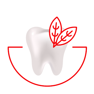 לנשימה רעננה