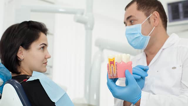 Male dentist talking with female patient holding a model in his hand